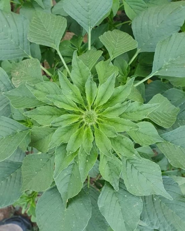 perfectphotos116_009