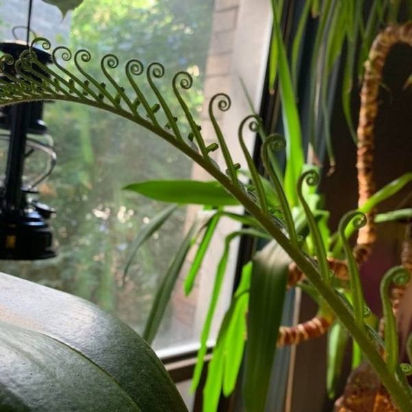 perfectphotos116_014