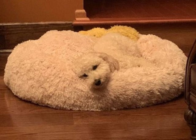 perfectphotos116_015