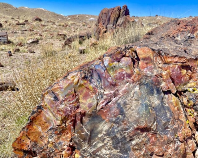 perfectphotos117_006