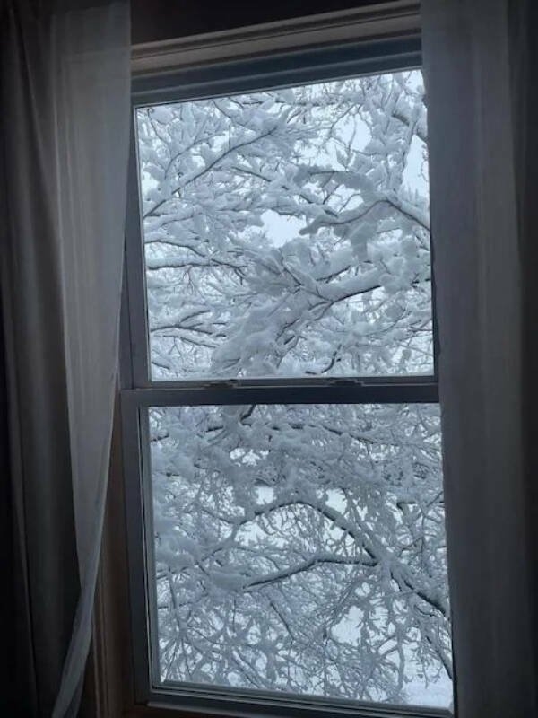 perfectphotos117_013