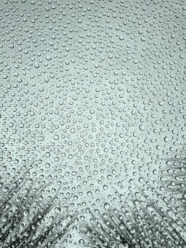 perfectphotos117_017