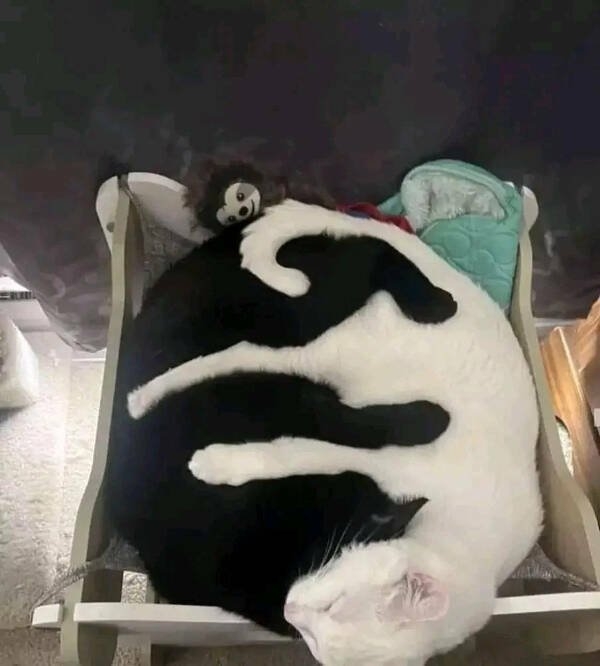 perfectphotos117_022