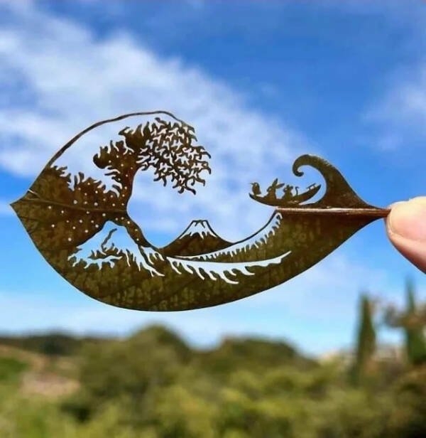 perfectphotos117_027