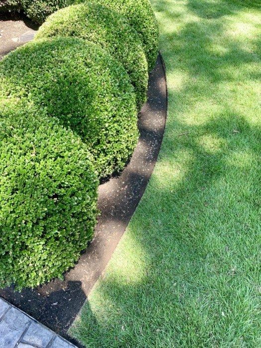 perfectphotos118_014