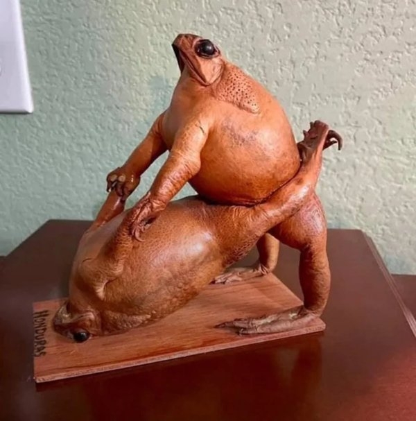 strangedesigns48_040