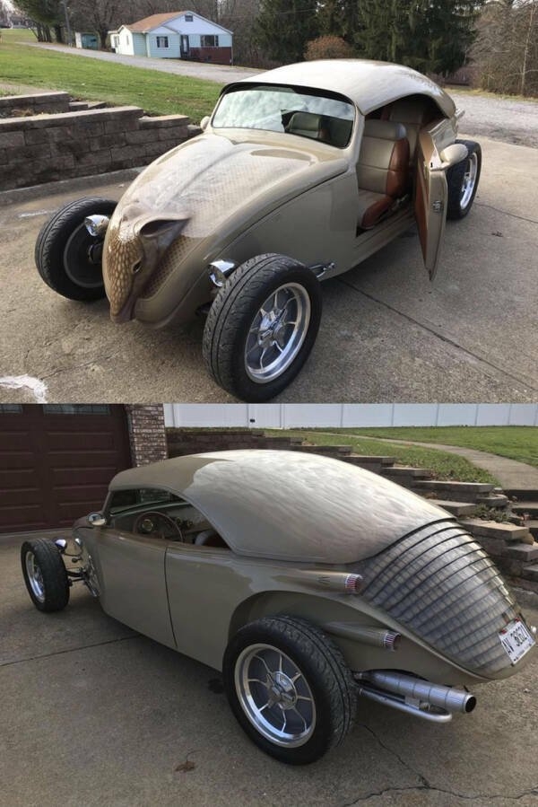 strangedesigns49_002