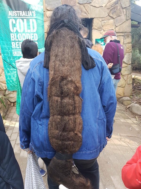 weirdhair101_004