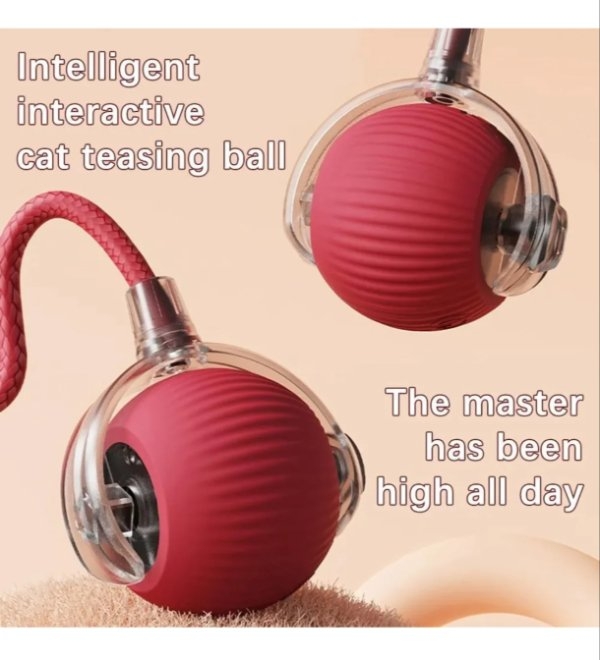 badtranslations14_008