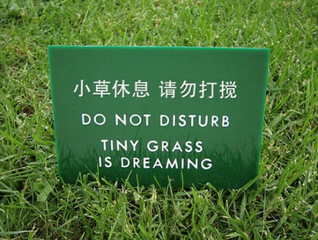 badtranslations14_024
