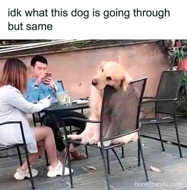 funnymemes296_004