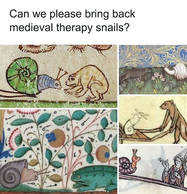 funnymemes296_019