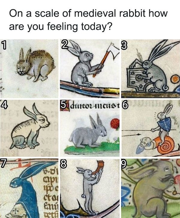 funnymemes296_023