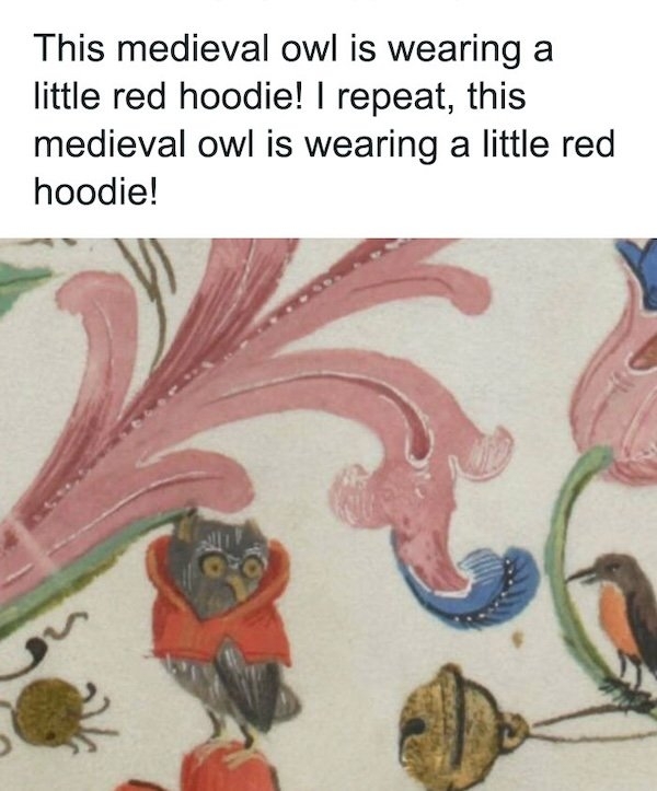 funnymemes296_028