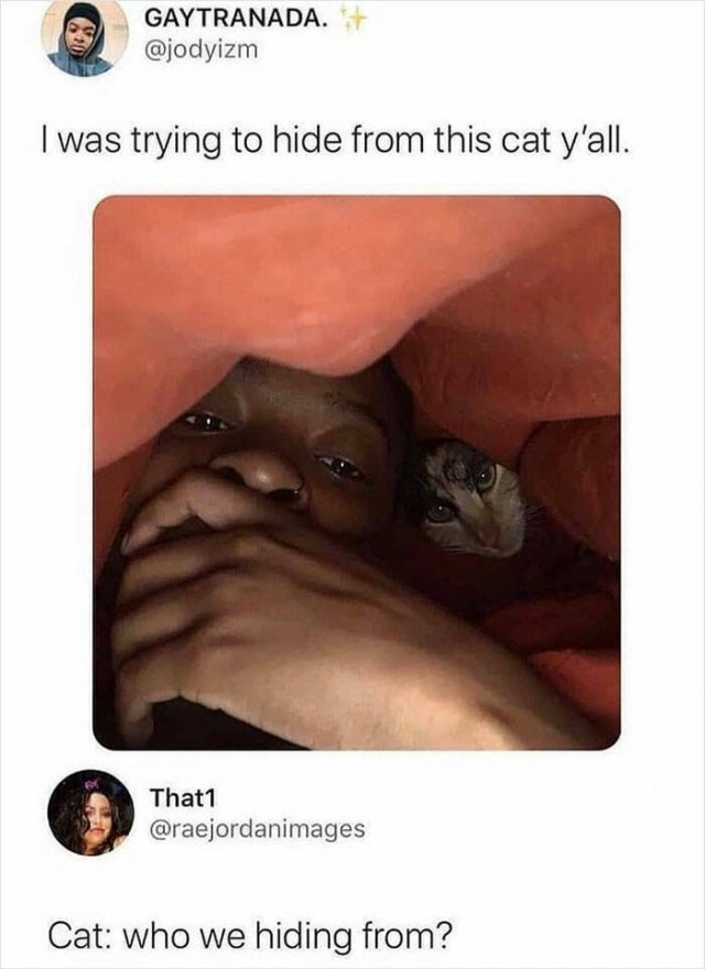 funnymemes296_035