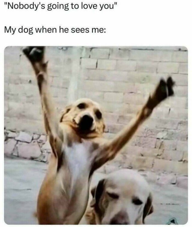 funnymemes296_037