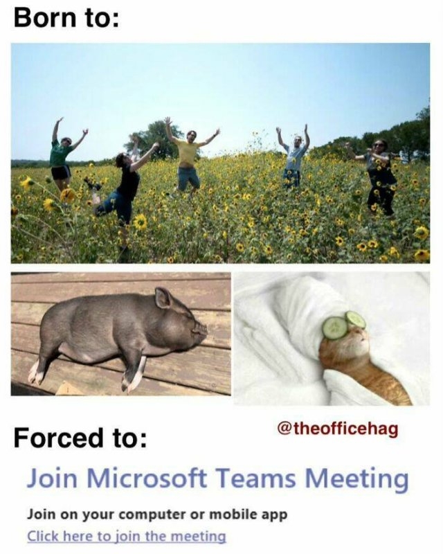 funnymemes302_005