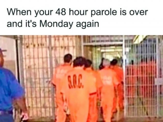 funnymemes302_018