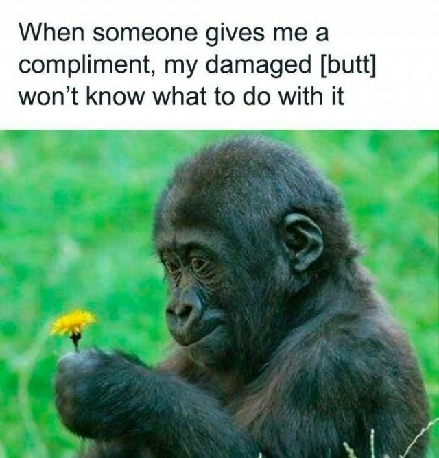 funnymemes302_022