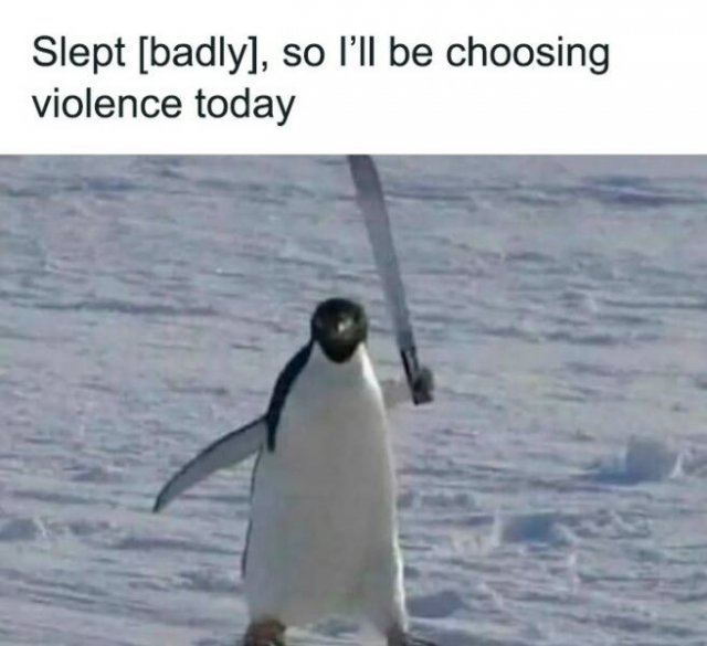 funnymemes302_026