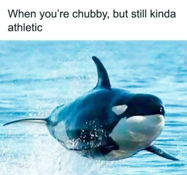 funnymemes302_030