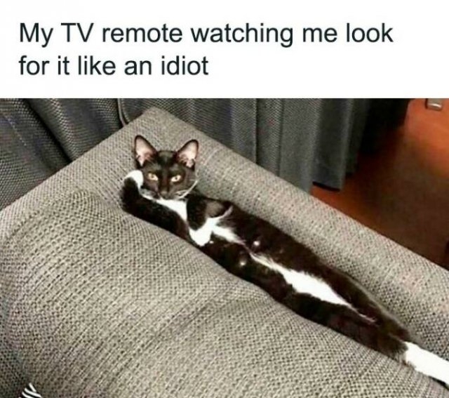 funnymemes302_031