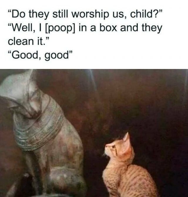 funnymemes302_033
