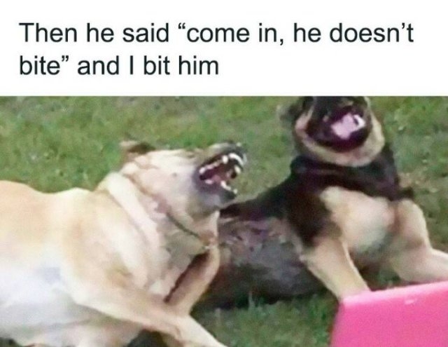 funnymemes302_035