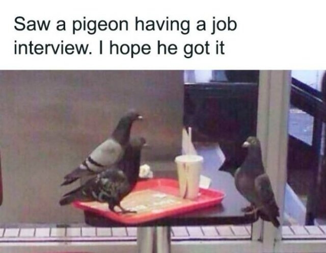 funnymemes302_036