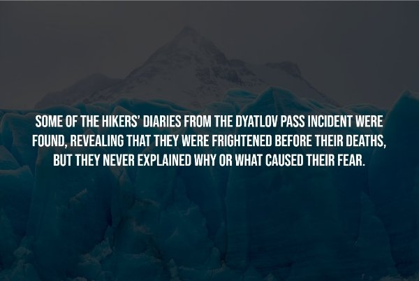 interestingfacts236_006