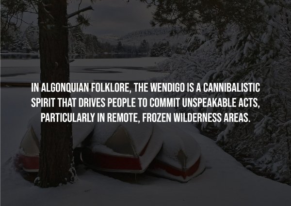 interestingfacts236_007