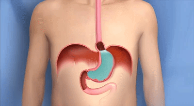 interestingfacts237_002