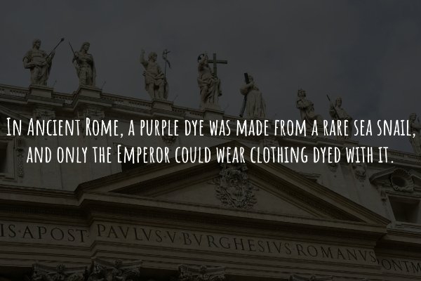 interestingfacts240_001