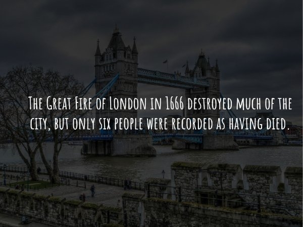 interestingfacts240_002