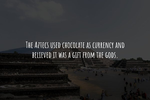 interestingfacts240_004