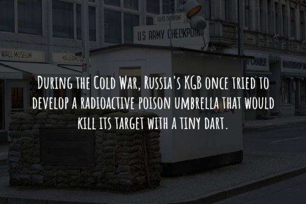 interestingfacts240_009