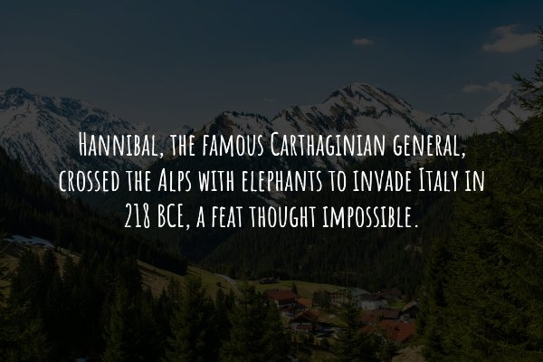 interestingfacts240_015