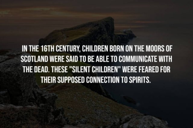 interestingfacts241_001