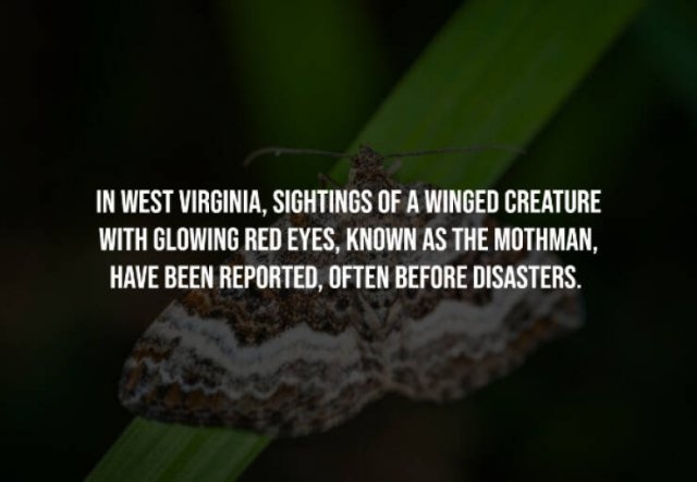 interestingfacts241_004