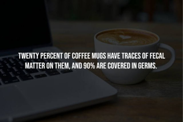 interestingfacts241_008