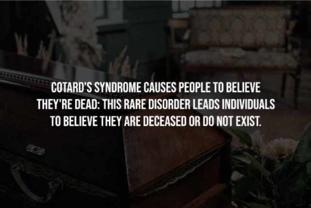 interestingfacts241_011