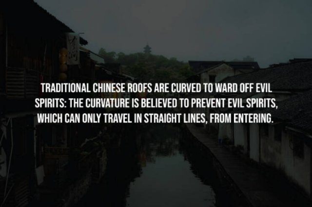 interestingfacts241_012