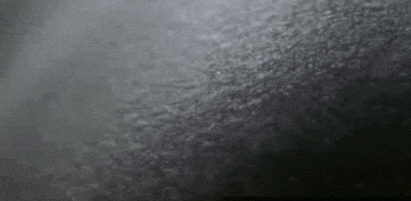 interestingfacts244_002