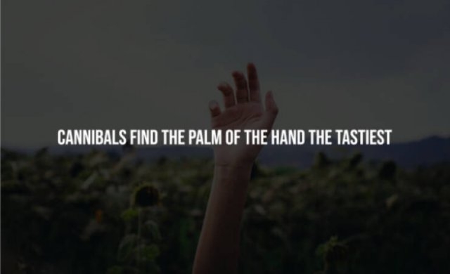 interestingfacts248_002