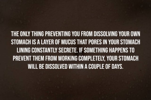 interestingfacts248_003