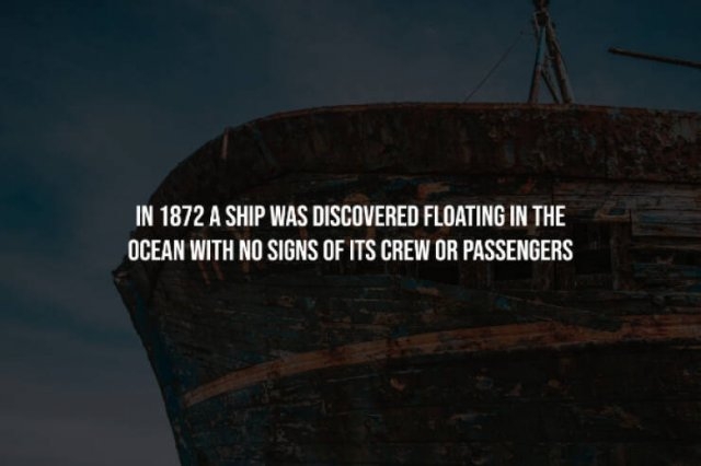 interestingfacts248_004
