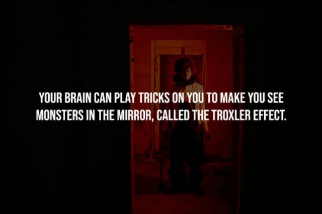 interestingfacts248_005