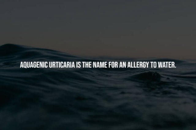 interestingfacts248_007