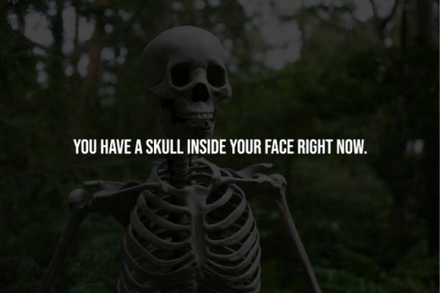 interestingfacts248_009