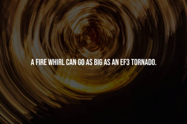 interestingfacts248_011